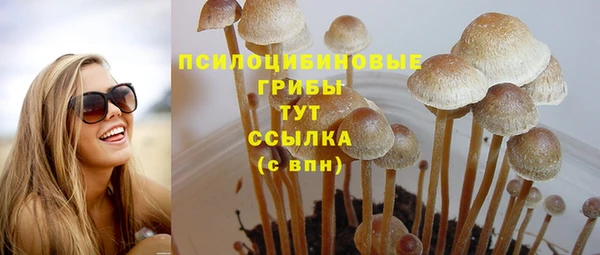 apvp Бронницы