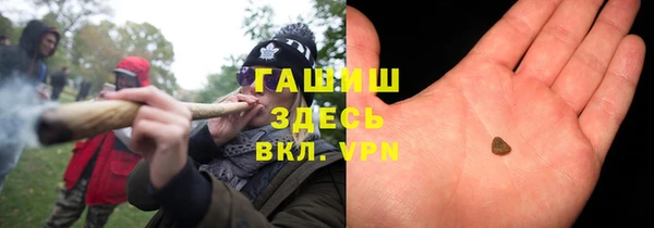 прущие крисы Бородино