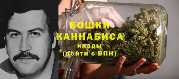 прущие крисы Бородино