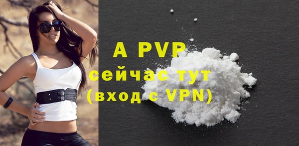 прущие крисы Бородино