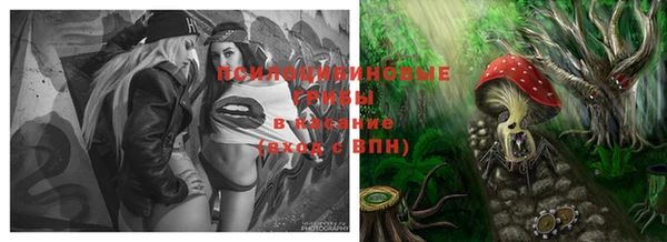 apvp Бронницы